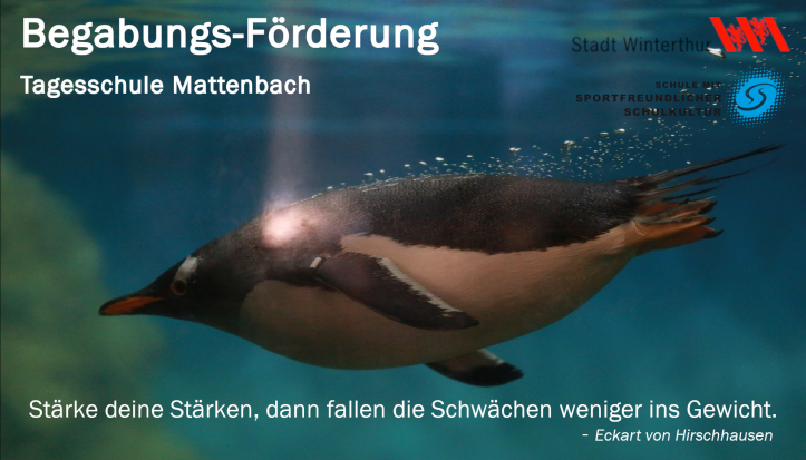 Begabungsförderung